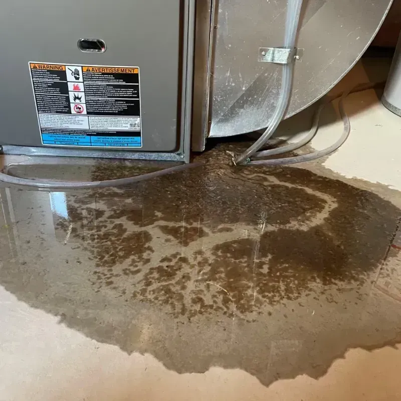 Appliance Leak Cleanup in Grant County, WA